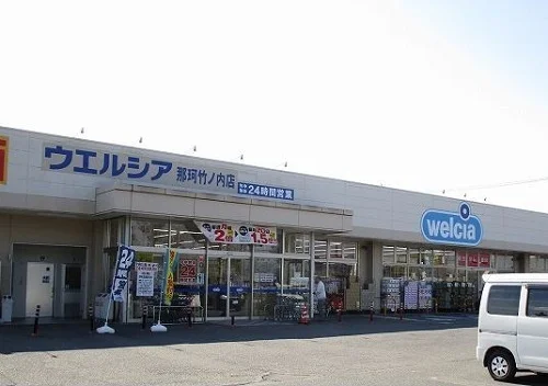 ウエルシア那珂竹ノ内店まで800m