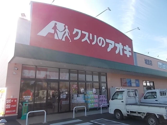 クスリのアオキ城里店まで1100m
