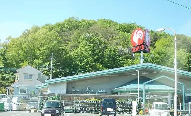 コメリまで1600m