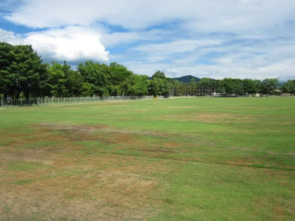丸山公園まで190m