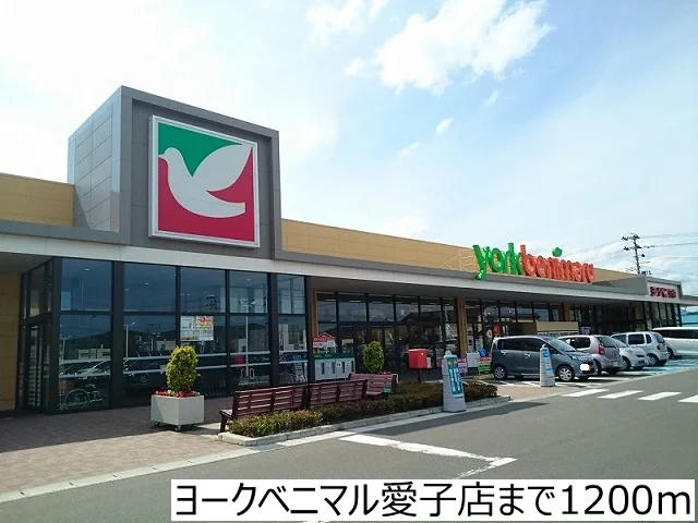 ヨークベニマル愛子店まで1200m