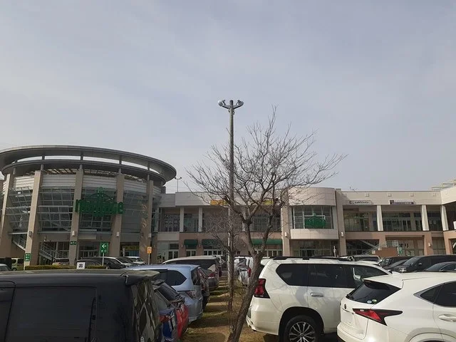 モラージュまで958m