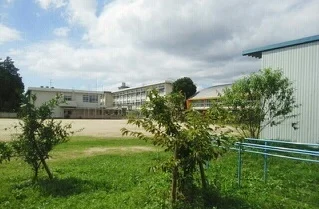 桜町小学校まで250m
