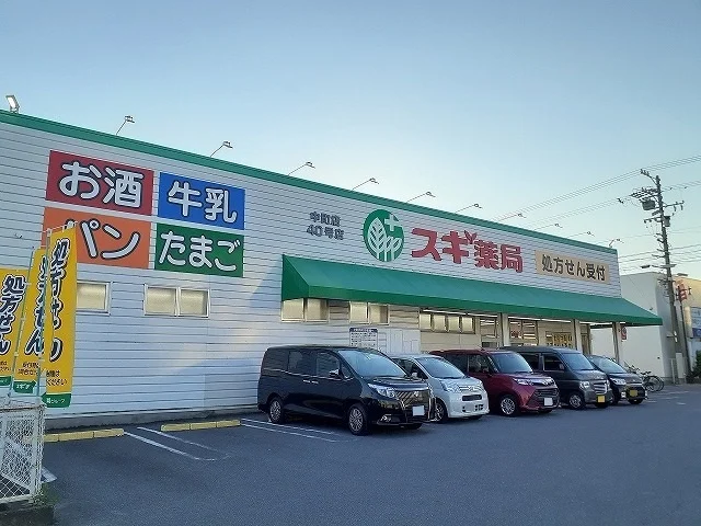 スギ薬局中町店まで740m