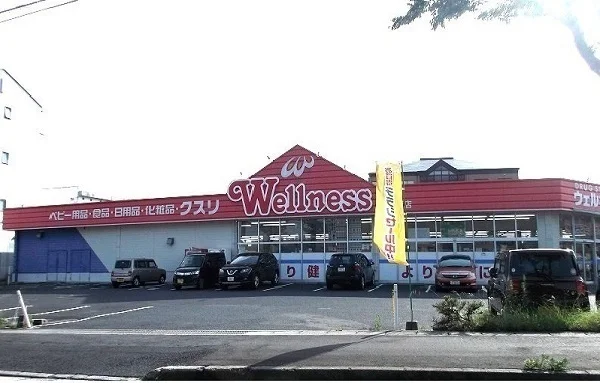 ウェルネス古志原店まで300m