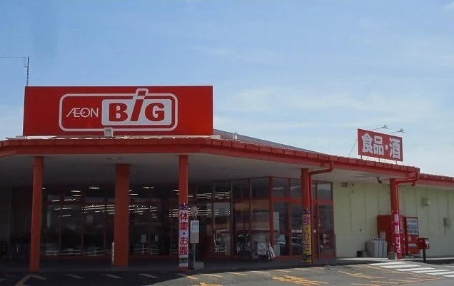 ザ　ビッグ白石店まで900m
