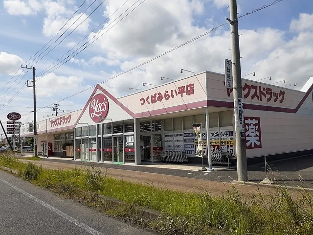 ヤックスドラッグつくばみらい店まで930m