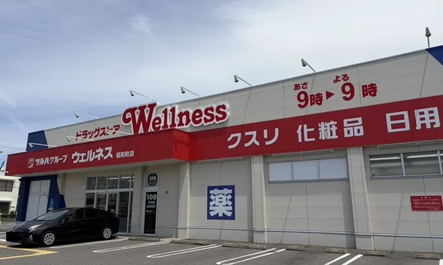 ウェルネス昭和町店まで850m
