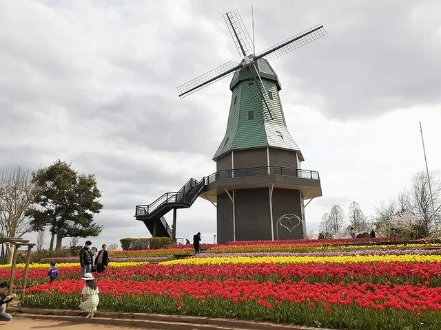 霞ヶ浦総合公園まで1250m