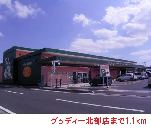 グッディー北部店まで1100m