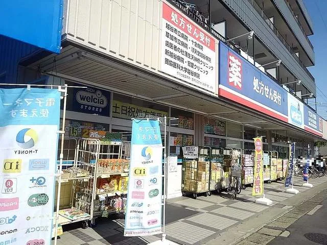ウエルシア 越谷蒲生店まで250m