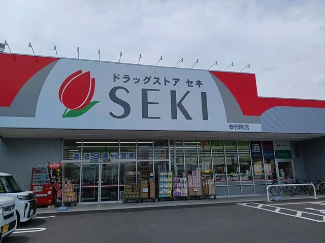 ドラッグストアセキまで493m