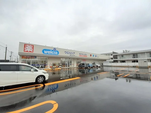 ウエルシア新潟上所中店まで500m