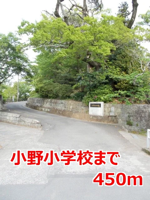 小野小学校まで450m