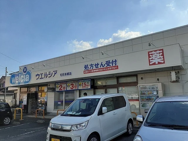 ウエルシア毛呂本郷店まで79m