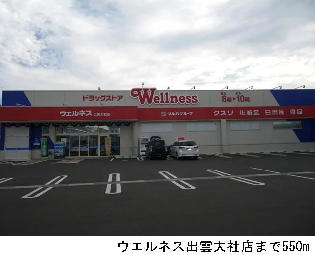 ウエルネス出雲大社店まで550m