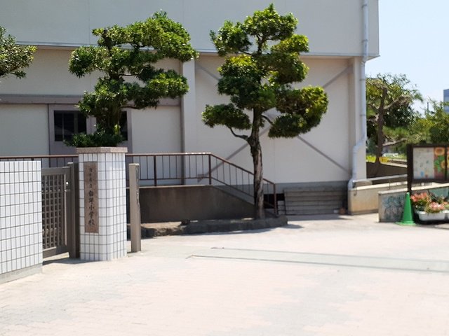 白坪小学校まで130m