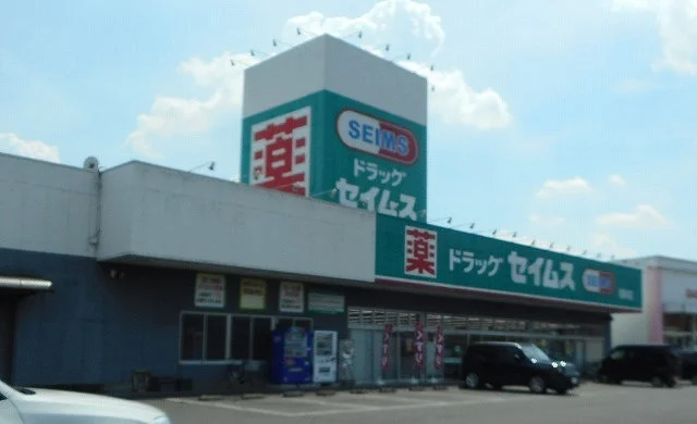 ドラッグセイムス 根岸店まで400m