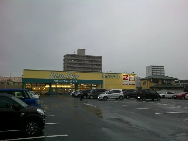 リオン・ドール野田店まで700m
