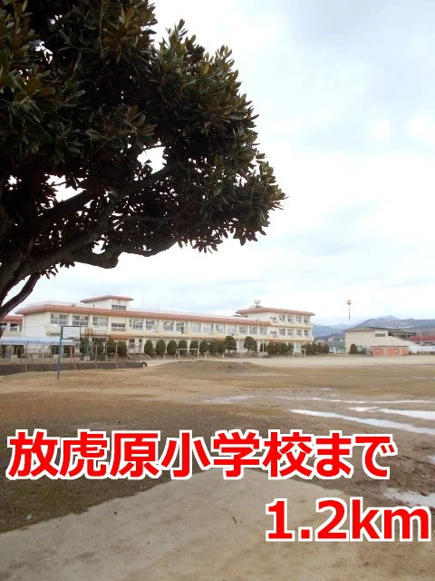 放虎原小学校まで1200m