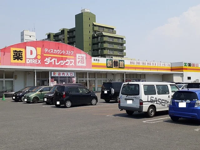 ダイレックス萩原店まで400m