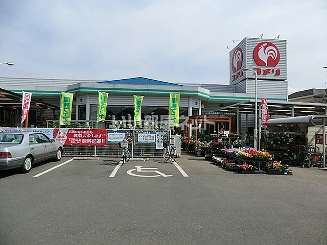 コメリハード＆グリーン豊田店まで1100m