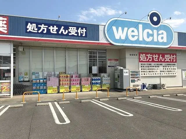 ウエルシア本庄日の出店まで500m
