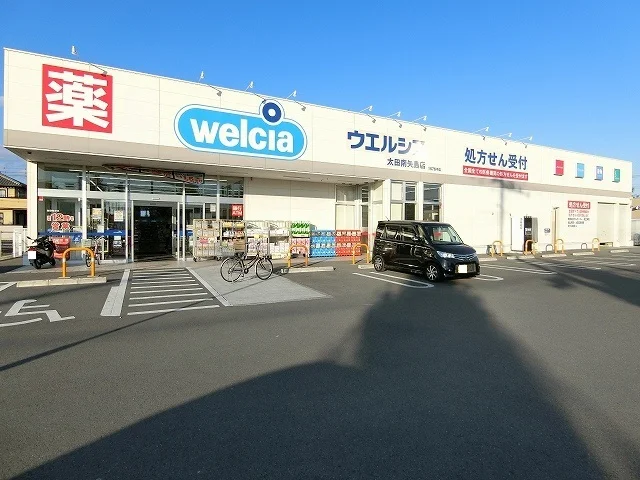 ウエルシア太田南矢島店まで1100m