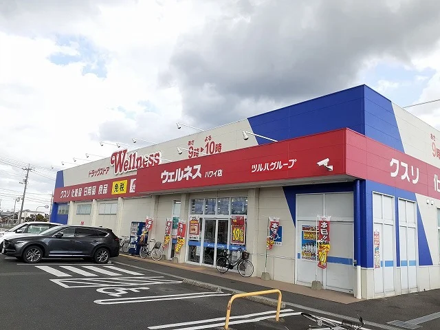 ウェルネス ハワイ店まで1100m
