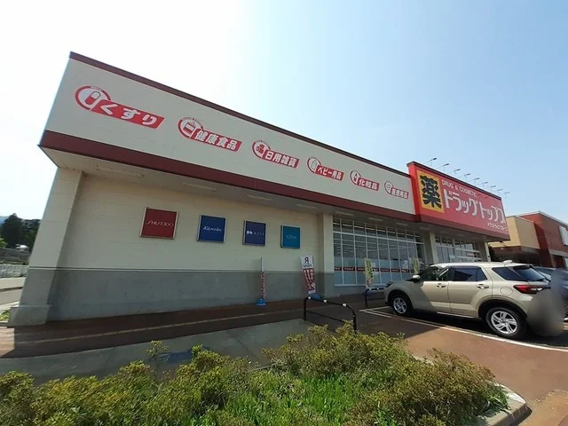 ドラッグトップス南高田店まで1100m