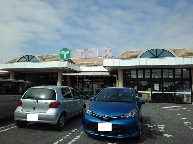 エコス　下館東店まで100m