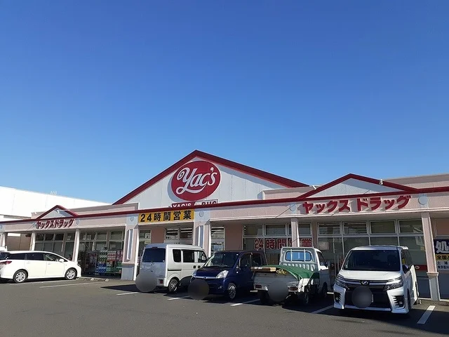 ヤックスドラッグ千代田店まで400m