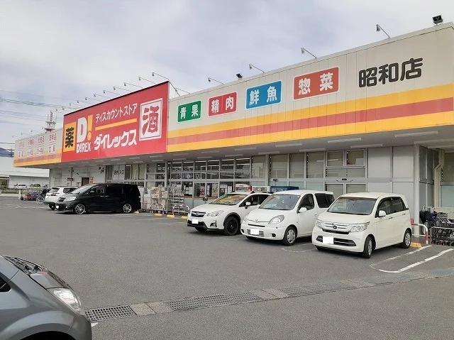 ダイレックス昭和店まで1000m