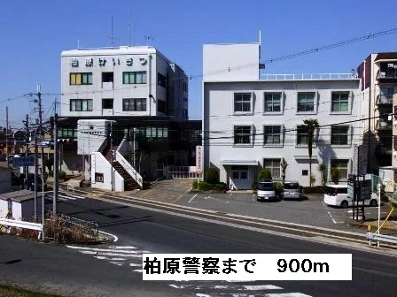 柏原警察署まで900m