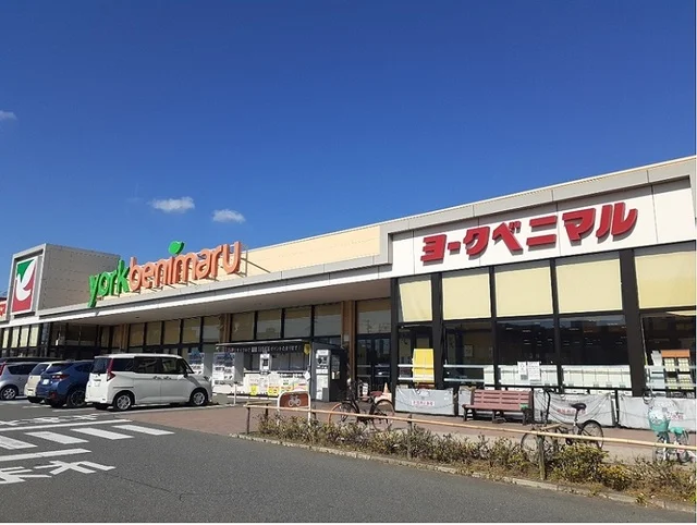 ヨークベニマル石巻中里店まで1100m