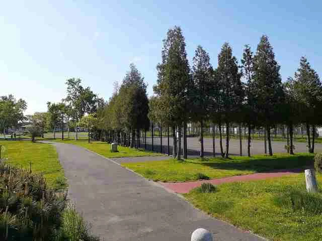 札苗東公園まで259m