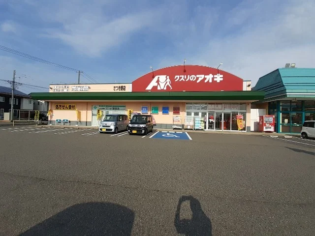 クスリのアオキ さつき野店まで1500m