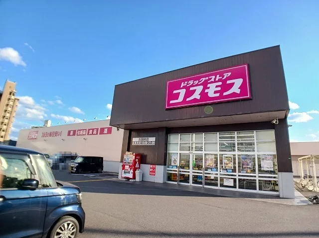 コスモス　古国府店まで500m