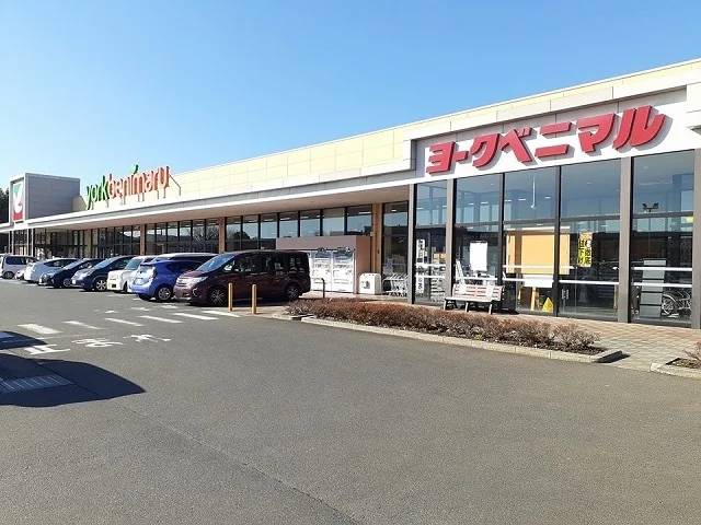 ヨークベニマルつくばみらい店まで930m
