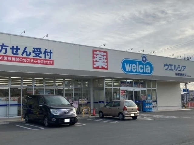 ウエルシア宇都宮駒生店まで500m
