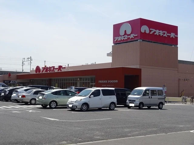 アオキスーパーまで1100m