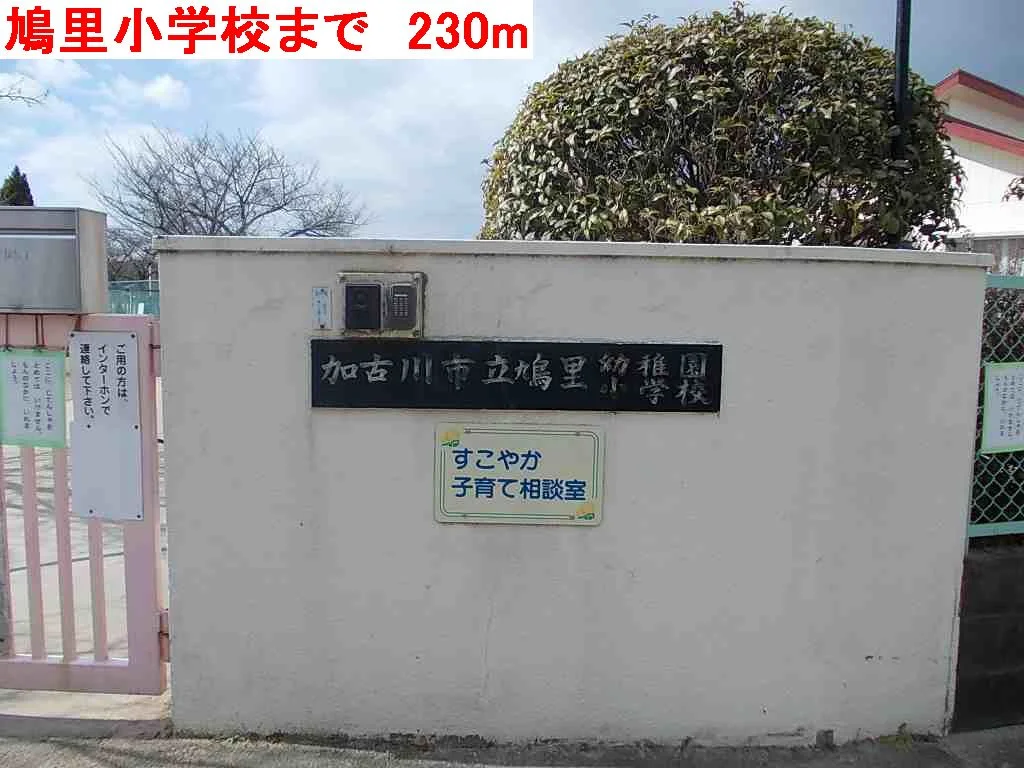 鳩里小学校まで230m