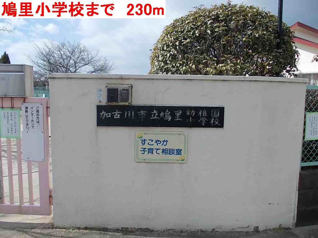 鳩里小学校まで230m