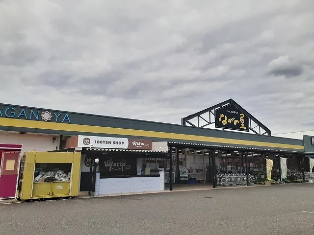 ながの屋まなび野店まで1100m