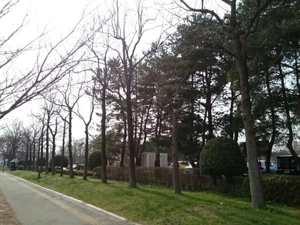 亀田公園まで1400m