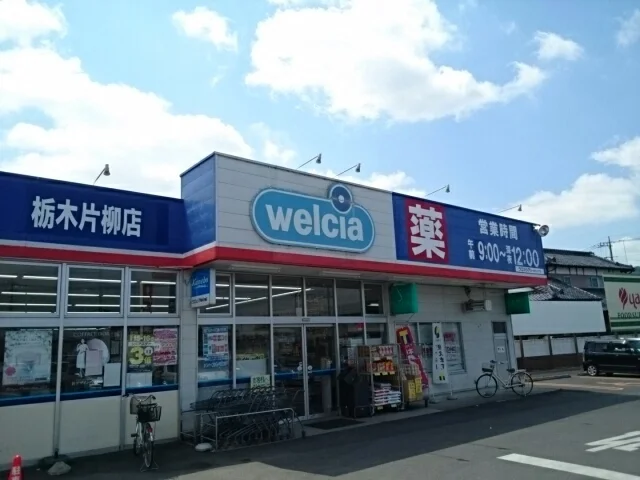 ウエルシア栃木片柳店まで600m