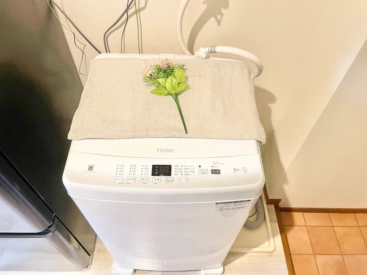 ※撮影用の観察植物・食器調理器具・雑貨類等はございません。※写真は現況優先