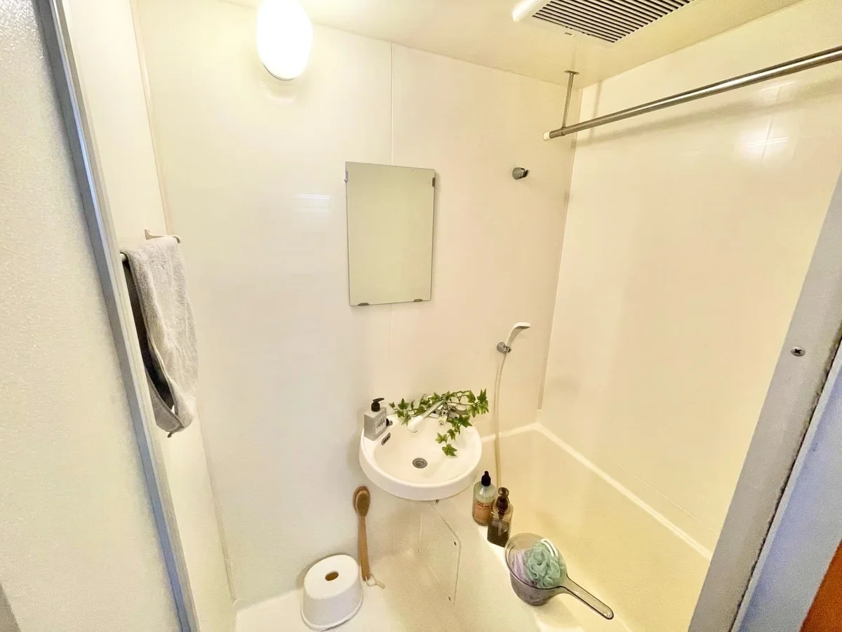 ※撮影用の観察植物・食器調理器具・雑貨類等はございません。※写真は現況優先