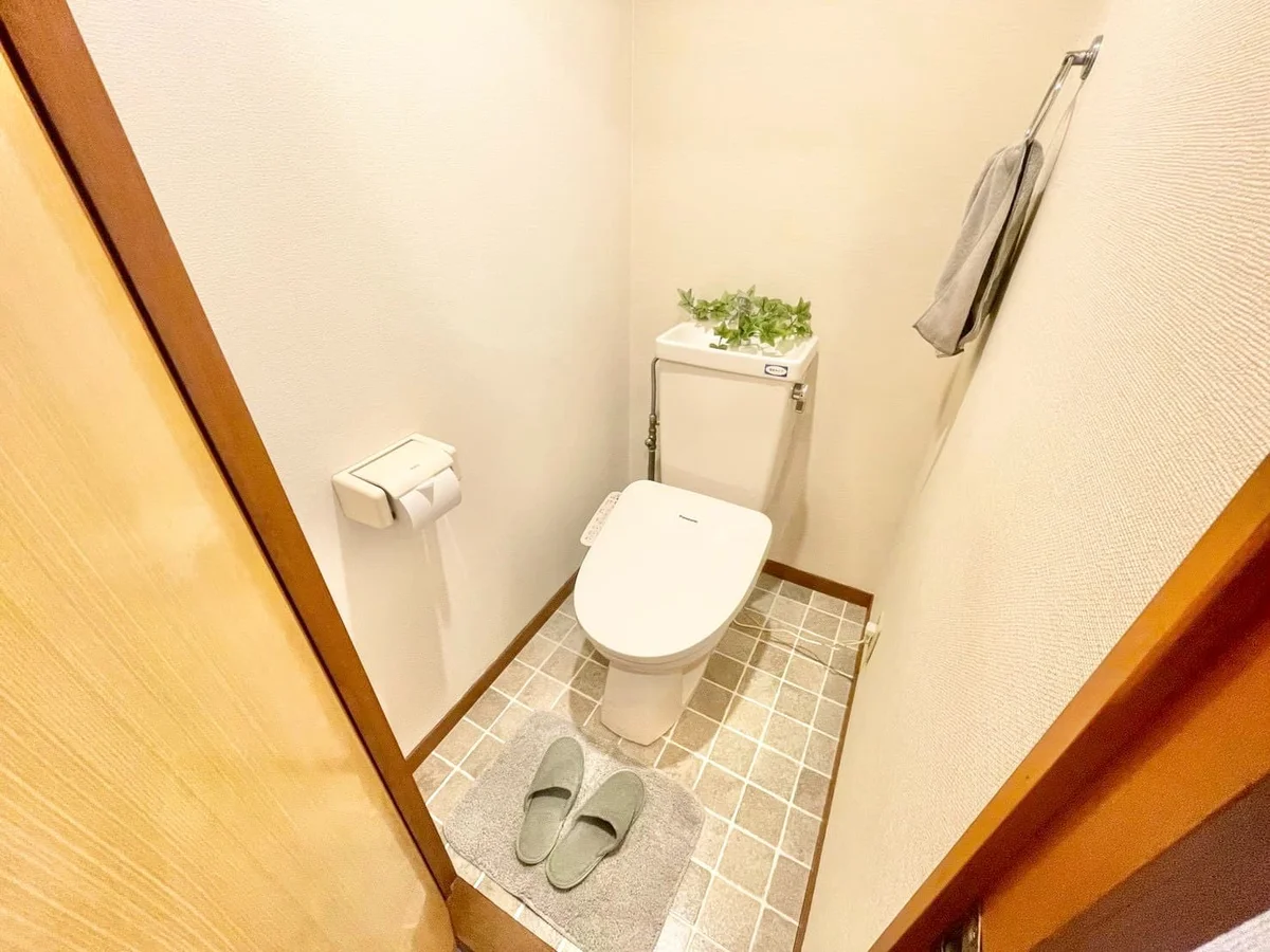 ※撮影用の観察植物・食器調理器具・雑貨類等はございません。※写真は現況優先
