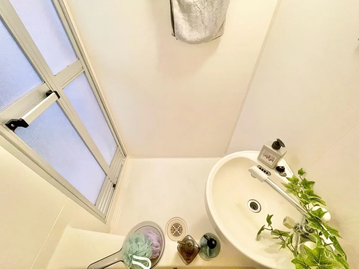 ※撮影用の観察植物・食器調理器具・雑貨類等はございません。※写真は現況優先